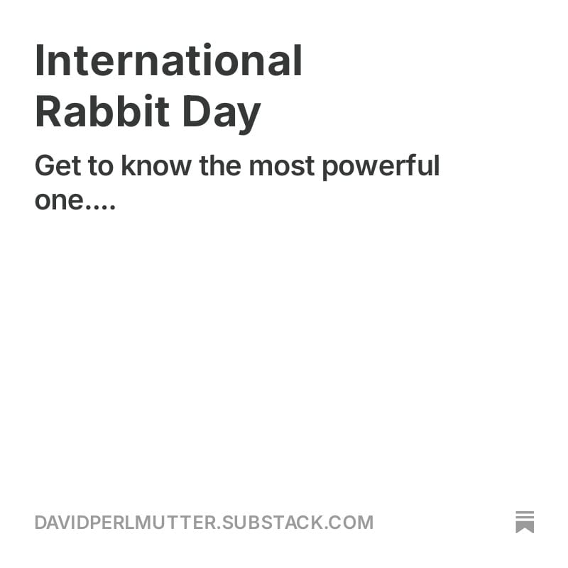 International Rabbit Day